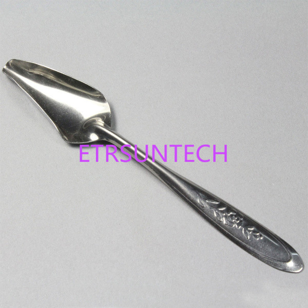 Bird's Stainless Steel Feeding Spoon Parrot's Milk Powder Spoon Pet Bird Supplies Wholesale Free Shipping QW8038