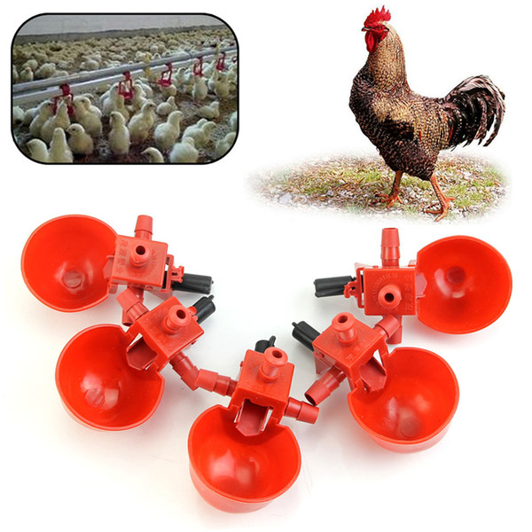 5Pcs Automatic Bird Coop Feed Poultry Water Drinking Cups Plastic Chicken Fowl Drinker Cups Hanging Chicken Ant farm Beauty Tool