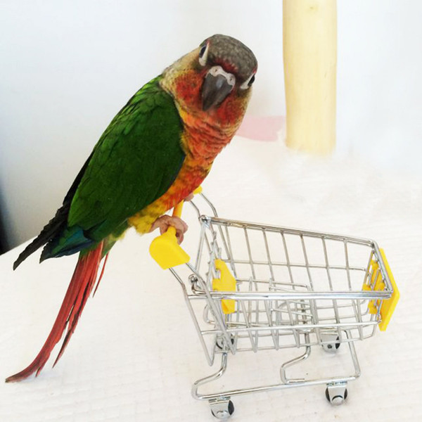 Hot Sale Parrot toy bird Supermarket Shopping Intelligence Cart Kids Growth Box Funny Toys for birds Three Colors