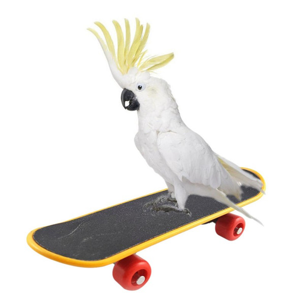 Cheap Bird Toys 1pc Funny Parrot Toys Intelligence Skateboard Toy Stand Perch Toy For Parakeet Cockatiels Bird Training Accessories