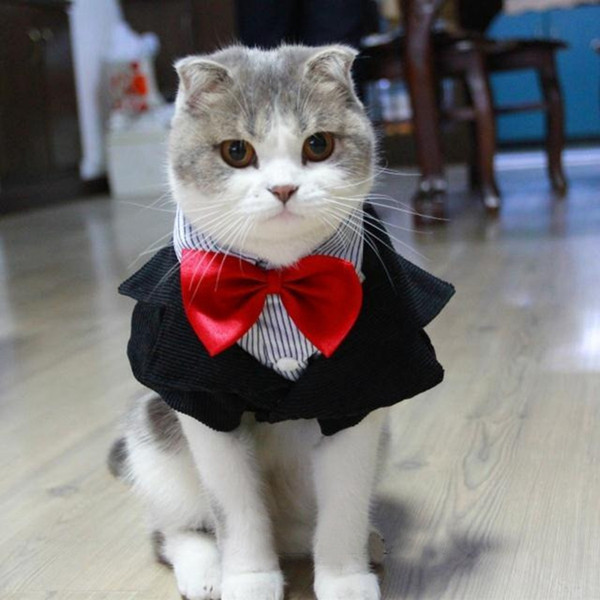 Fantasy Pet Black Suit Gentle Cat Costumes Formal Party Animal Costume Pet Clothing with Red Bow Tie Wedding Apparel