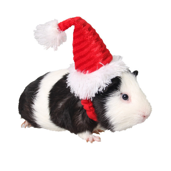 Hand Made Christmas Costume Pet Dutch Pig Cap Set Hat Pet Clothes X337