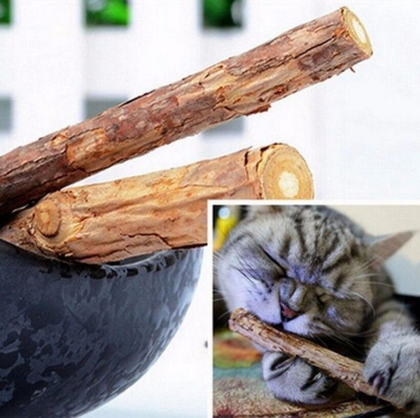 Natural Chiscat Catnip Cats Molar Toothpaste Cat Snacks Stick Pet Cat Cleaning Teeth Cats Snack Sticks Cat Toys OOA5036