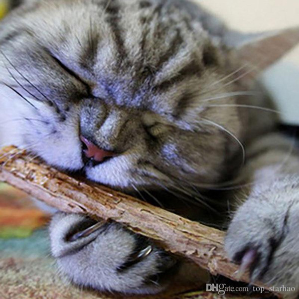 2017 Sale Catnip Silvervine Teeth Sticks Cats Dental Health Sticks Pets Catnip Products Wood Toys Cats Snacks Cats XL-198