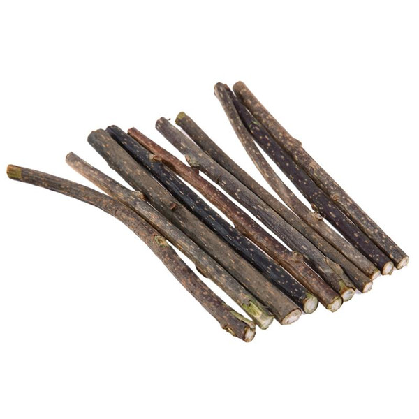 10pcs Cat Toy Cleaning Teeth Snacks Pure Natural Catnip Pet Cat Molar Toothpaste Stick Natural Silvervine Toys for cats E5M1