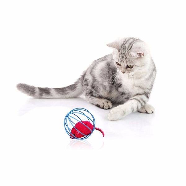 6.5cm Popular Pet Cat toy toys Lovely Kitten Gift Funny Play Toys Mouse Ball for Cats Dogs Play