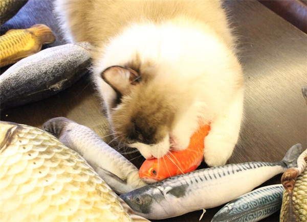 Lovely Artificial Fish Plush Pet Cat Puppy Dog Toys Sleeping Cushion Fun Toy Cat Mint Catnip Toys G469