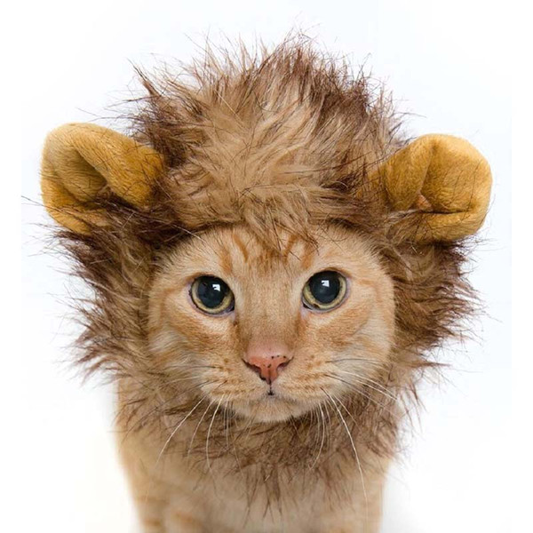 Pet Cat Dog Emulation Lion Hair Mane Ears Head Cap Autumn Winter Dress Up Costume Muffler Scarf