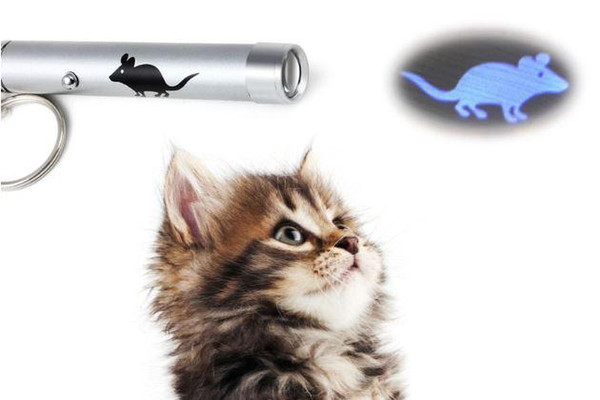 new Creative and Funny Pet Cat Toys LED Laser Pointer Light Pen With Bright Animation Mouse Fish Paw Pattern Key Ring h104