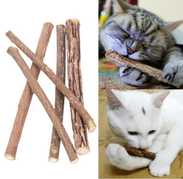 5Pcs/bag Cat cleaning teeth Pure natural catnip pet cat molar Toothpaste stick silvervine actinidia fruit Matatabi cat snacks sticks