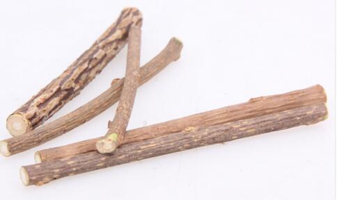 Cat clean teeth Pure natural catnip pet cat molar Toothpaste stick silvervine actinidia fruit Matatabi cat snacks sticks