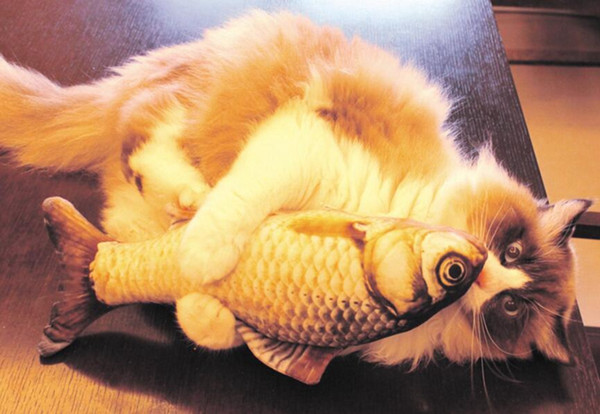 Pet Cat Mint Toys Bite Resistant Animal Toys Useful Simulation Koi Mint Fish for Pets Cats Catnip Fish Toys