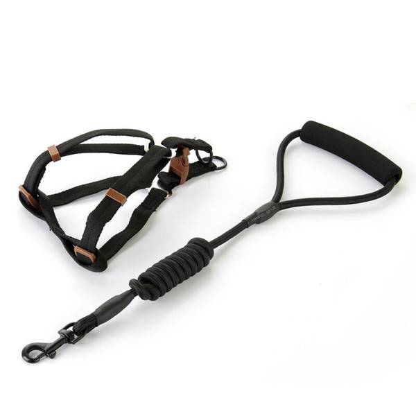 High quality dog leashes nylon material adjustable length 0.6 cm size firm clasp 5 colors small dog comfortable handle great help