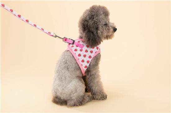 Hipidog Soft Mesh Padded Pink Print Cute Strawberry Vest Harness Dog Harness Leash Set Chest Strap Leads for Small Dogs Pets