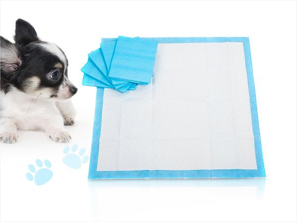 Pet Dog Cat Diaper Super Absorbent House Training Pads for Puppies Polymer Quicker Dry Pet Pads Healthy Clean Wet Mat Wholesales