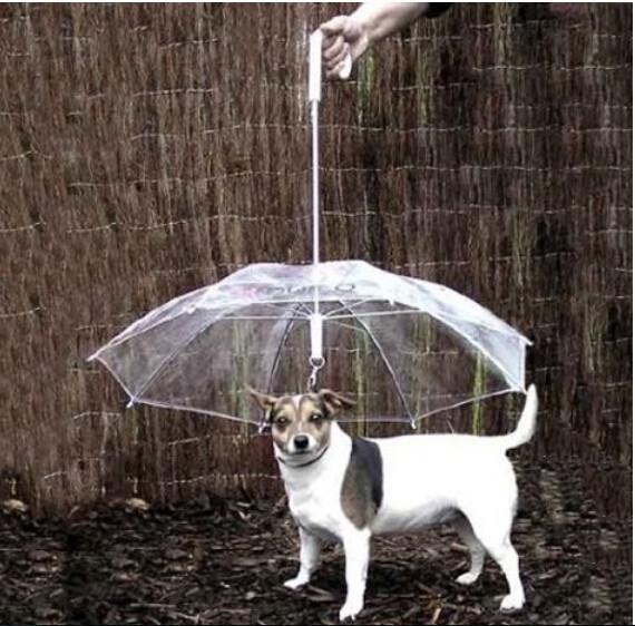 Cool Pet Supplies Useful Transparent PE Pet Umbrella Small Dog Umbrella Rain Gear with Dog Leads Keeps Pet Dry Comfortable in Rain