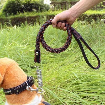 New Arrival High Quality Pet Supplies Dog Cat Leash Collar Set Spring Cow Leather Fashion Pet Dog Collars Dog Leashes