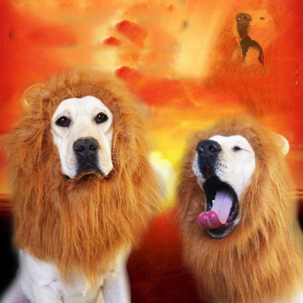 Hair Ornaments Pet Costume Cat Halloween Clothes Fancy Dress Up Lion Mane Wig for Large Dogs