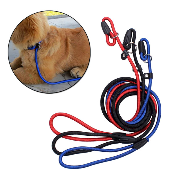 Pet Dog Nylon Adjustable Collar Training Loop Slip Leash Rope Lead Small Size Red Blue Black Color