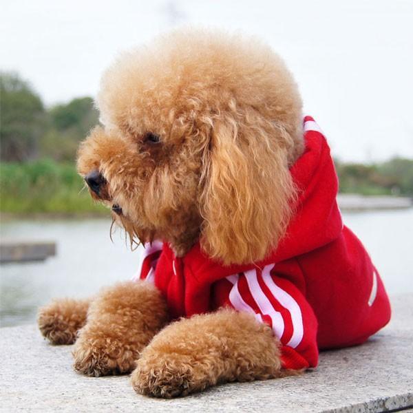 Small Two Legs Puppy Dog Coat Jumpsuit Pet Cotton Sportswear Costume Clothes For Dog Jumpsuit Sweater For Teddy Chihuahua