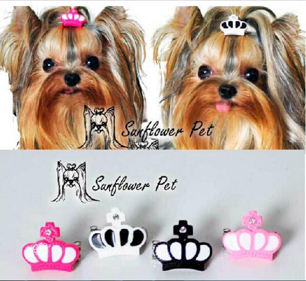 New Pet Accessories resin crown clip Dog Bows Dog Grooming Hair Bows Doggie Pet Gifts hair clip Xi shi Yorkshire dog hair