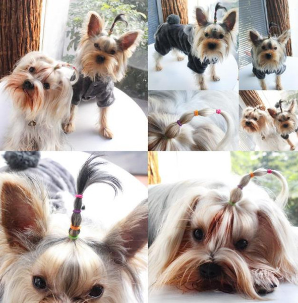 2019 1MM Pet Hair Rubber Band High Elasticity Dog Cat Hair Accessories Diameter 100g about5000pcs A lot of color