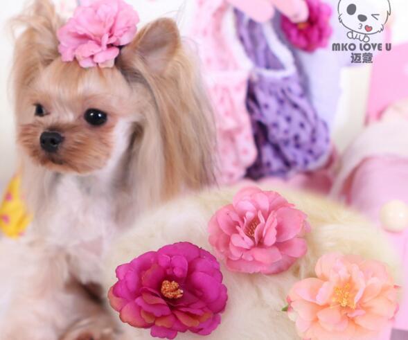 pet dog ~ York summer flower head flower hairpin hairpin Tactic super beautiful headdress flower clip accessories Dog Grooming Pet Gifts