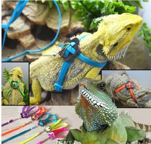 Free Shipping Adjustable Reptile Lizard Harness Leash Adjustable Hauling Cable Rope walking cabrite lizards lead on sale