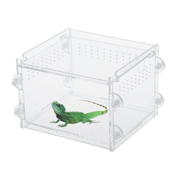 Acrylic Reptiles Terrarium Container Ideal for Reptiles or Amphibians 'Larvae Spiders Ants Scorpions Chameleon Lizard