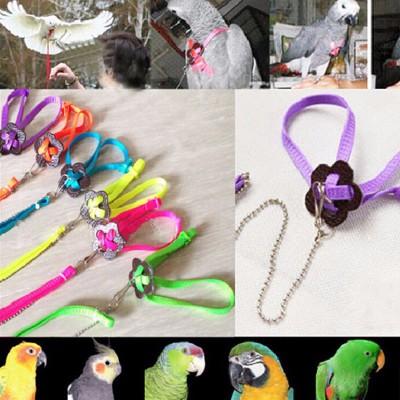 2018 new Parrot Adjustable Bird Harness and Leash Anti-bite Training Rope for Bird Parrot candy color