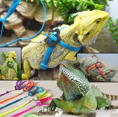 Free Shipping Adjustable Reptile Lizard Harness Leash Adjustable Hauling Cable Rope walking cabrite lizards lead on sale