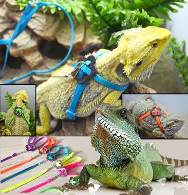 Adjustable Reptile Lizard Harness Leash Adjustable Multicolor Light Soft rope for Reptiles or Small Pets in stock