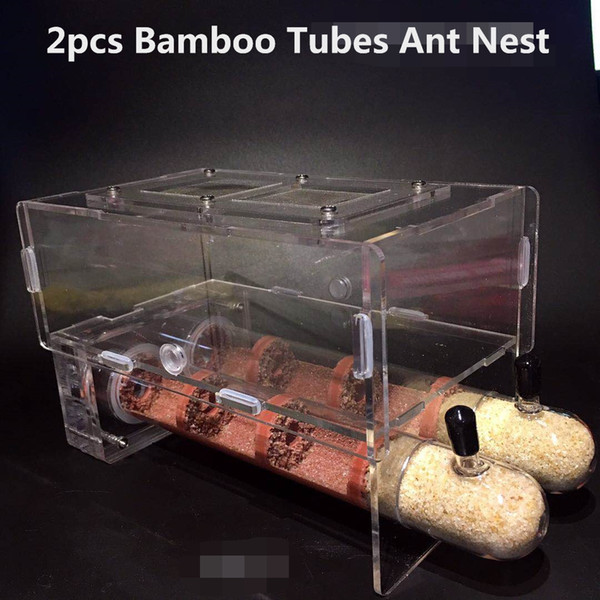 2pcs Bamboo Tubes 30x200MM Ant Nest Insect Farm House For Kids Home Pet Use Student Scientific Device Toy Ant Acrylic Bamboo Villa