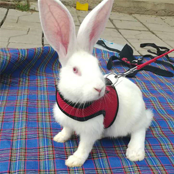 Pet Rabbit Walking Harness Leash Lead,Puppies Rabbits Hamster Leash Vest Traction Rope for Small Animal Adjustable Soft Harness and Lead Set