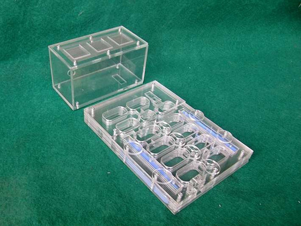 180x130MM Ant Nest Insect Pet Ant Cage Farm Toy DIY Plastic Acrylic Display Ant Workshop Kids Biological Observation Toys Gifts