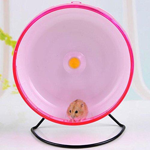 Qin ChenChen Exercise Silent Wheel Running Spinner Toy Random Color