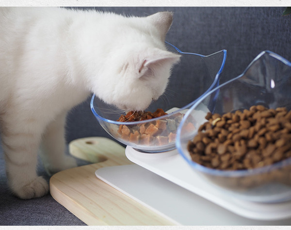 Protect the vertebrate cats and dogs bowl simple and convenient easy to clean the oblique mouth