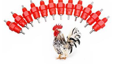 2000pcs/lot High Quality Plastic + Stainless Steel Chicken Duck Hen Automatic In Poultry Water Nipple Drinker Feeder Supplies