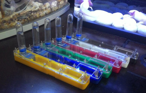 Rainbow Color New Ant Nest Transparent Ant Workshop For Children Sientific Abservation DIY Accembling Insect Ant Housing Case