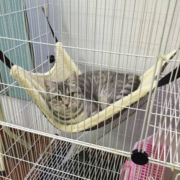 Pet Hanging Bed Polk Dot Polyester Pet Rat Rabbit Chinchilla Cat Cage Hammock Small Animal Bed Cover Bag Blankets