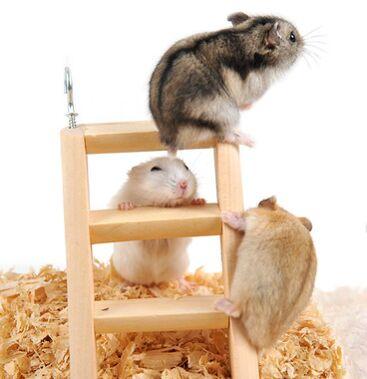 Natural Wood Small Animal Toys Hamster Chew Toys Wooden Hanging Climbing Ladder For Small Pet Mouse Rat Mice Supplies