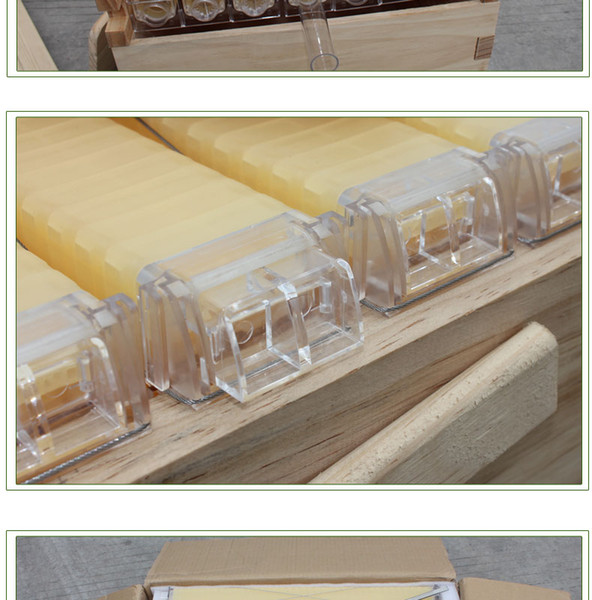 yellow BEE High quality honey flow beehive 7 plastic bee-hive frames