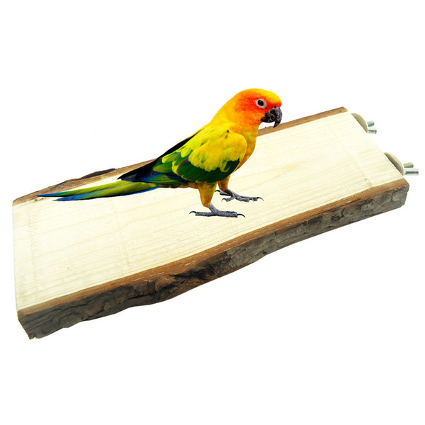 Totoro Squirrel Parrot Bird Toys Raw Wood Springboard Pier Platform Diving Platform