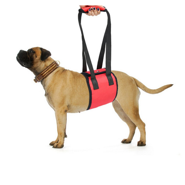 Pet Dog Auxiliary Belt Protection Belt For Elderly Portable Assist Sling Harness