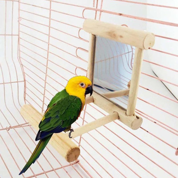Funny Bird Toy Mirror Fun Toys For Parrots Small Birds Wooden Parrot Toys Pet Toy Accessories