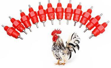 Nipple Drinker Feeder Water Cups Chicken Drinkers Waterer 360 Angle Poultry Supplies Feeding & Watering