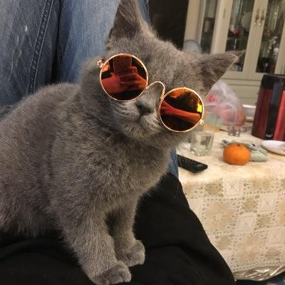 MEETEE NEW Pet glasses cat Teddy dog sunglasses personality funny headdress trend pet accessories.DC-447