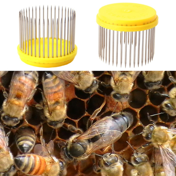 Beekeeping Queen Needle Type Bee Cage Steel Catching Catcher Equipment Tools