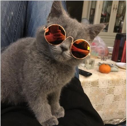 Pet glasses, cat sunglasses, dog sunglasses, personality, funny headwear, fashion pet accessories, cat eye glasses, L264