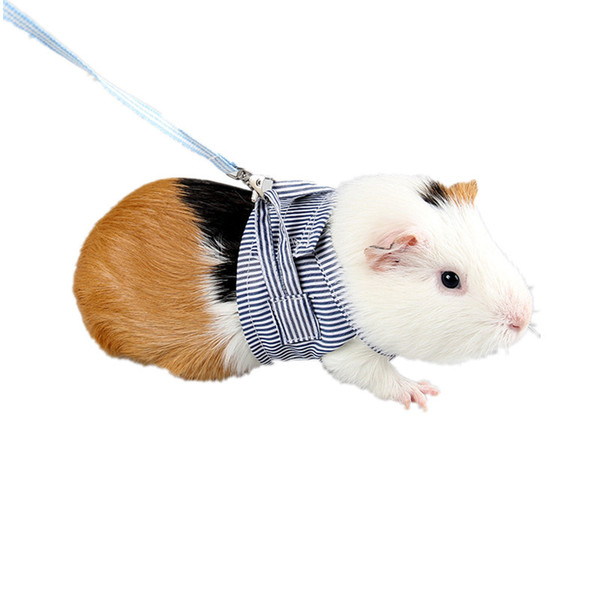 Cute Small Hedgehog Squirrel Chest Strap Fashion Striped Pet Outdoor Leashes Spring Summer Cotton Breathable Apparel Pet Supplies